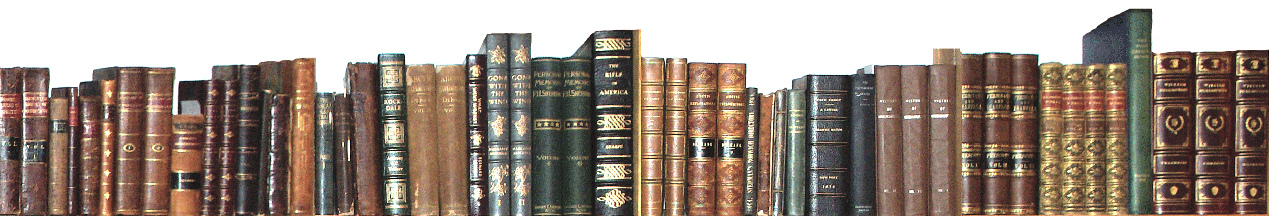 Shelf Of Antiquarian Books